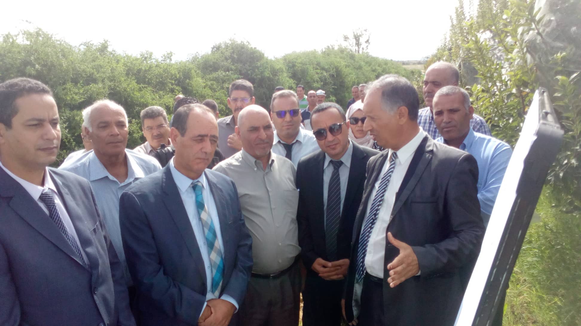 الصورة الرئيسية