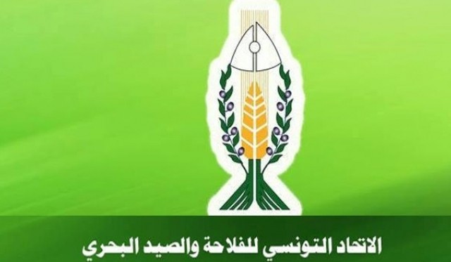 الصورة الرئيسية