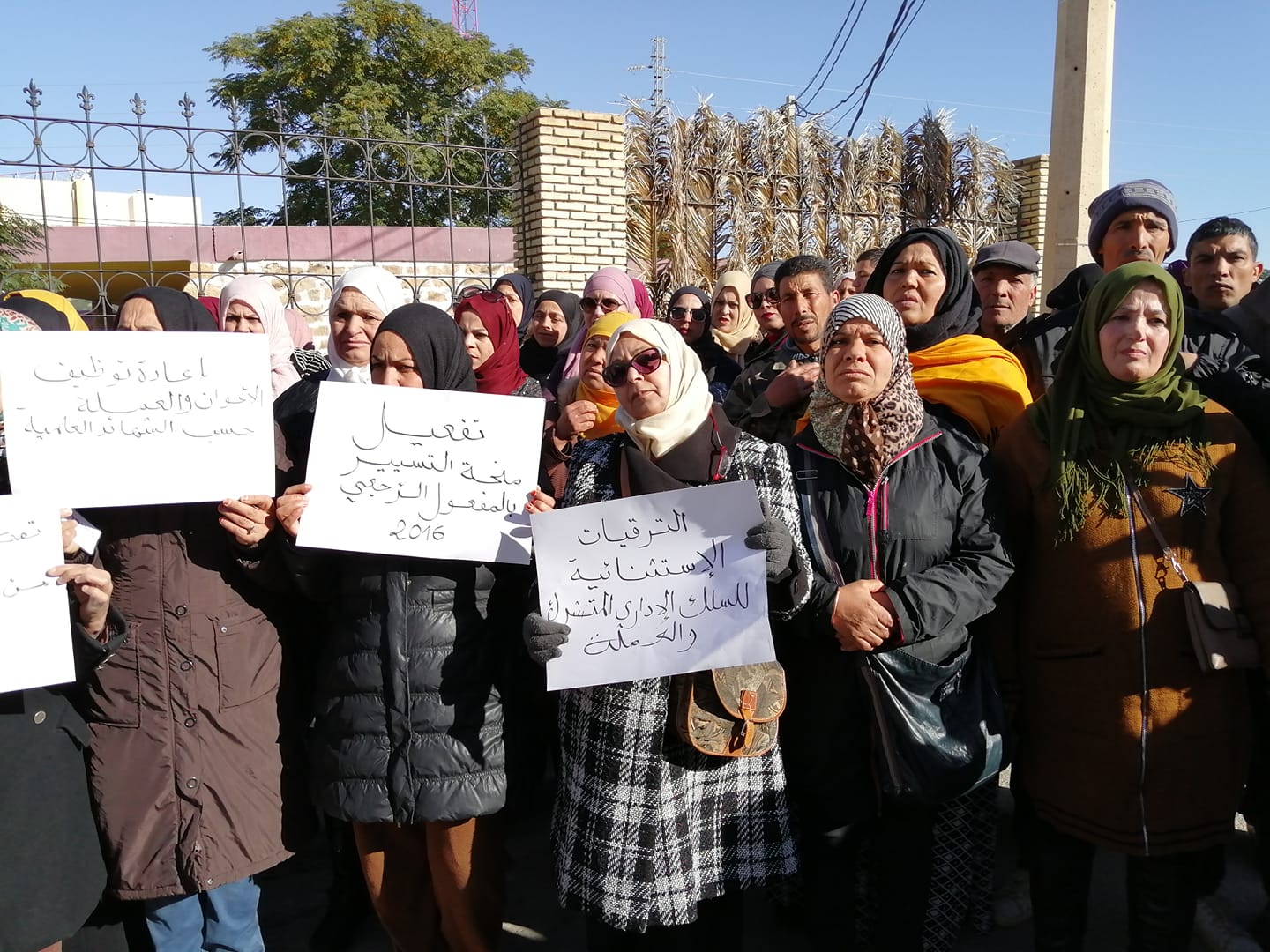 الصورة الرئيسية