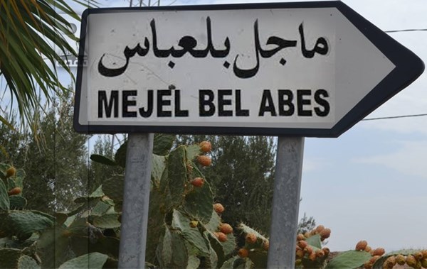 الصورة الرئيسية