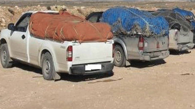 الصورة الرئيسية