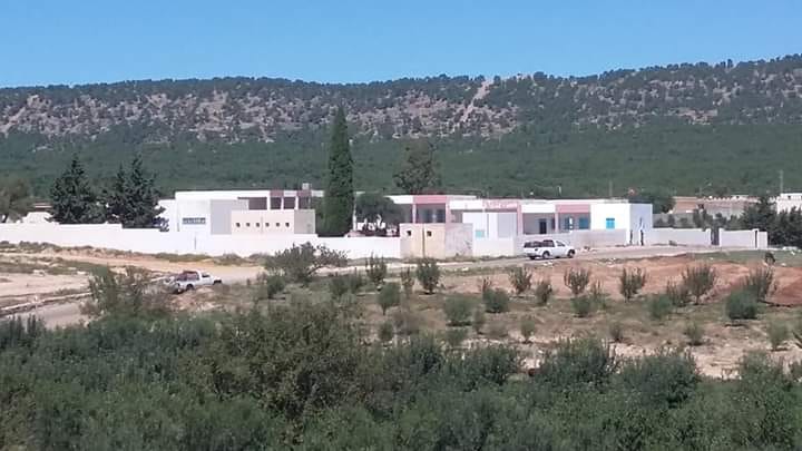 الصورة الرئيسية