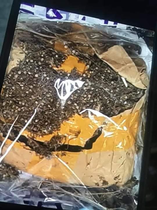 الصورة الرئيسية