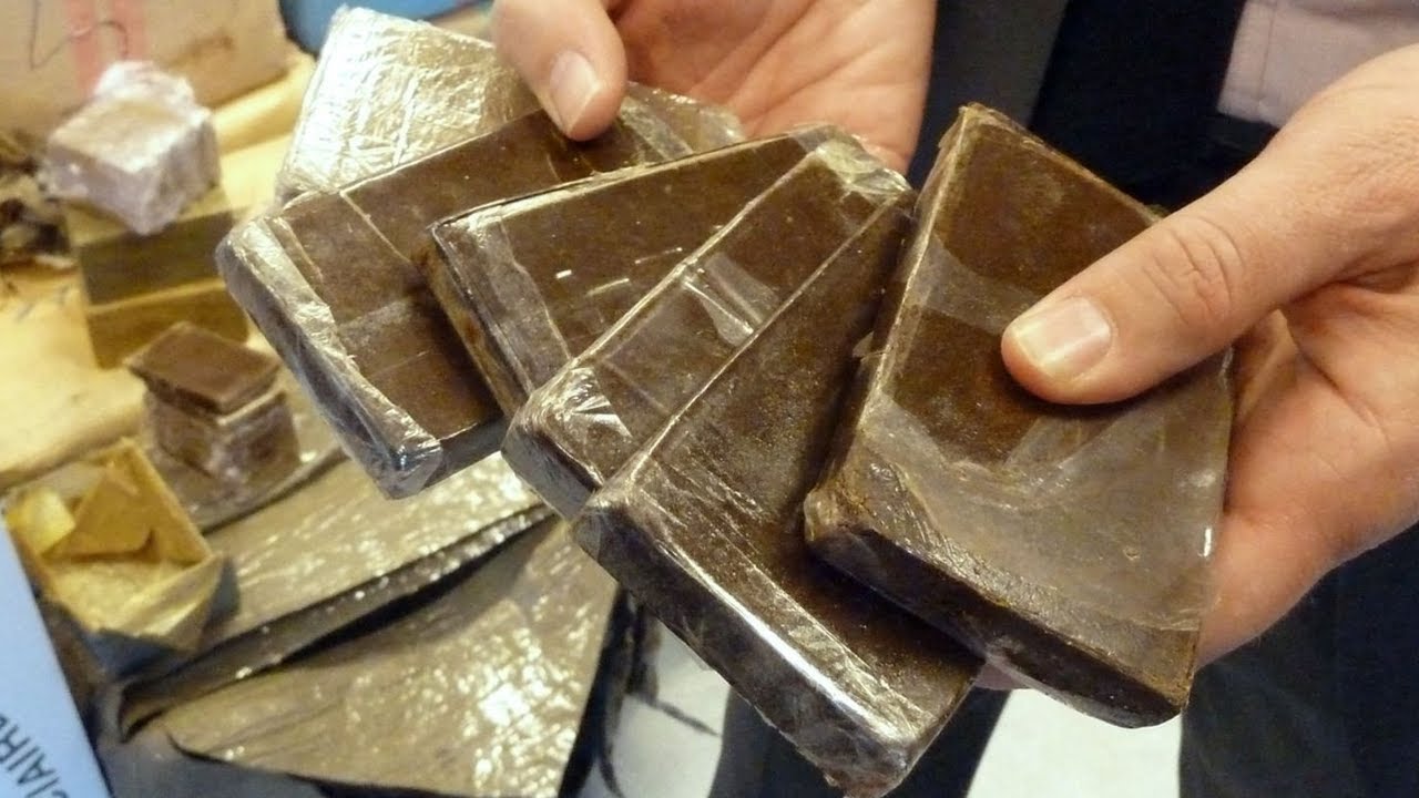 الصورة الرئيسية