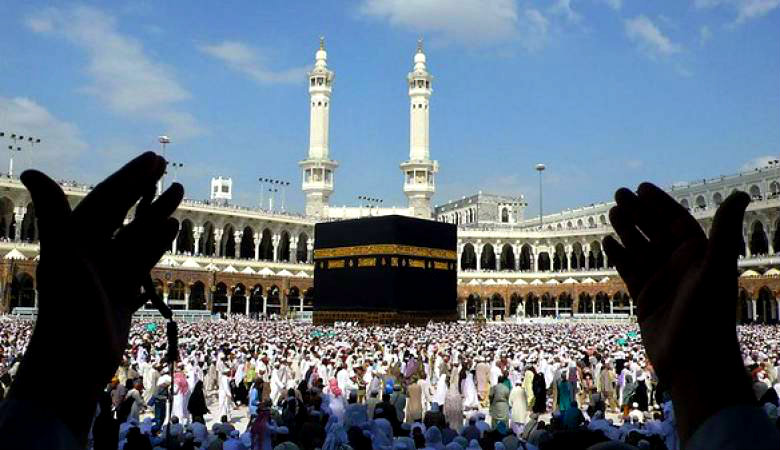 الصورة الرئيسية