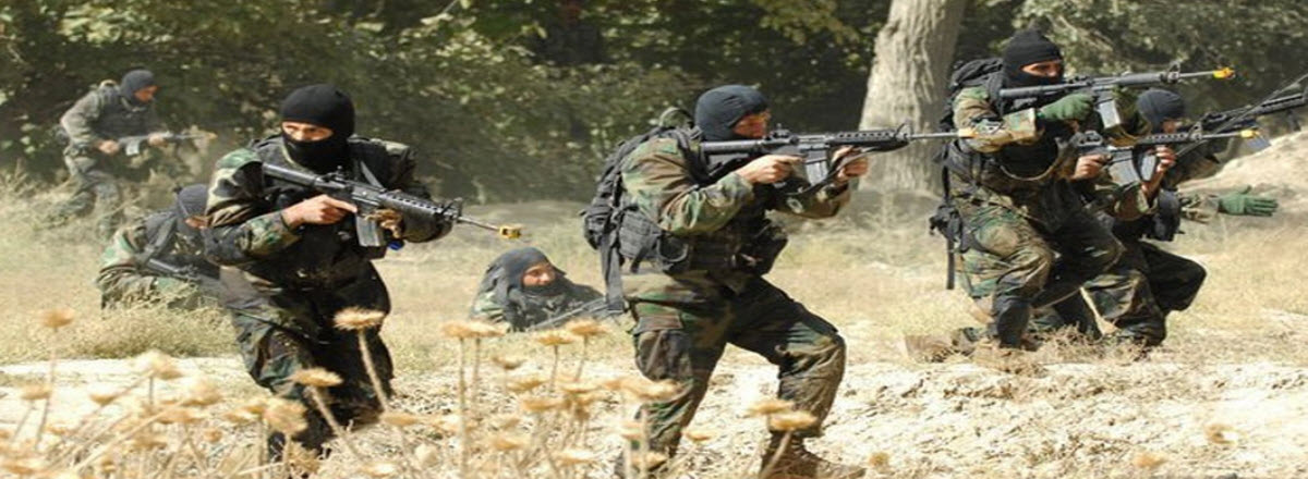 الصورة الرئيسية