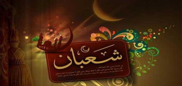 الصورة الرئيسية