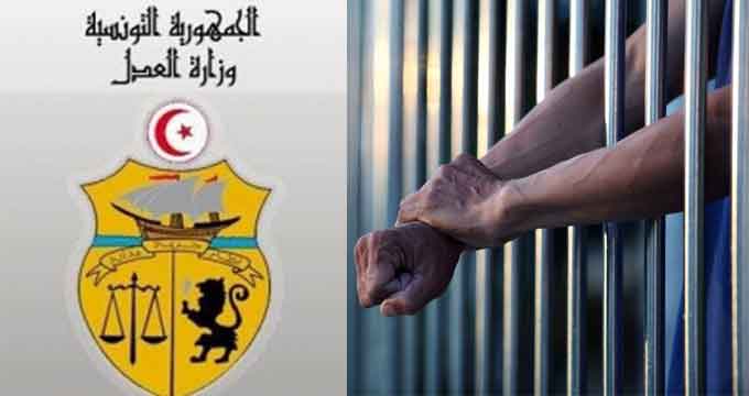 الصورة الرئيسية