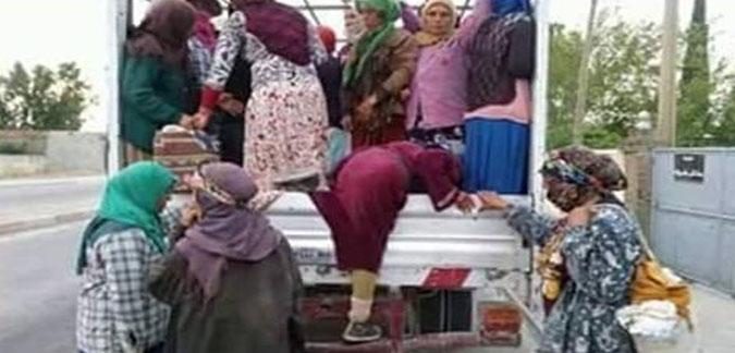 الصورة الرئيسية