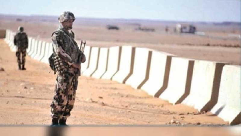 الصورة الرئيسية