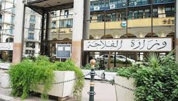 الصورة الرئيسية