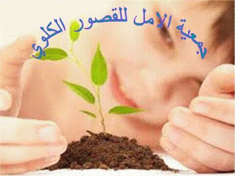 الصورة الرئيسية