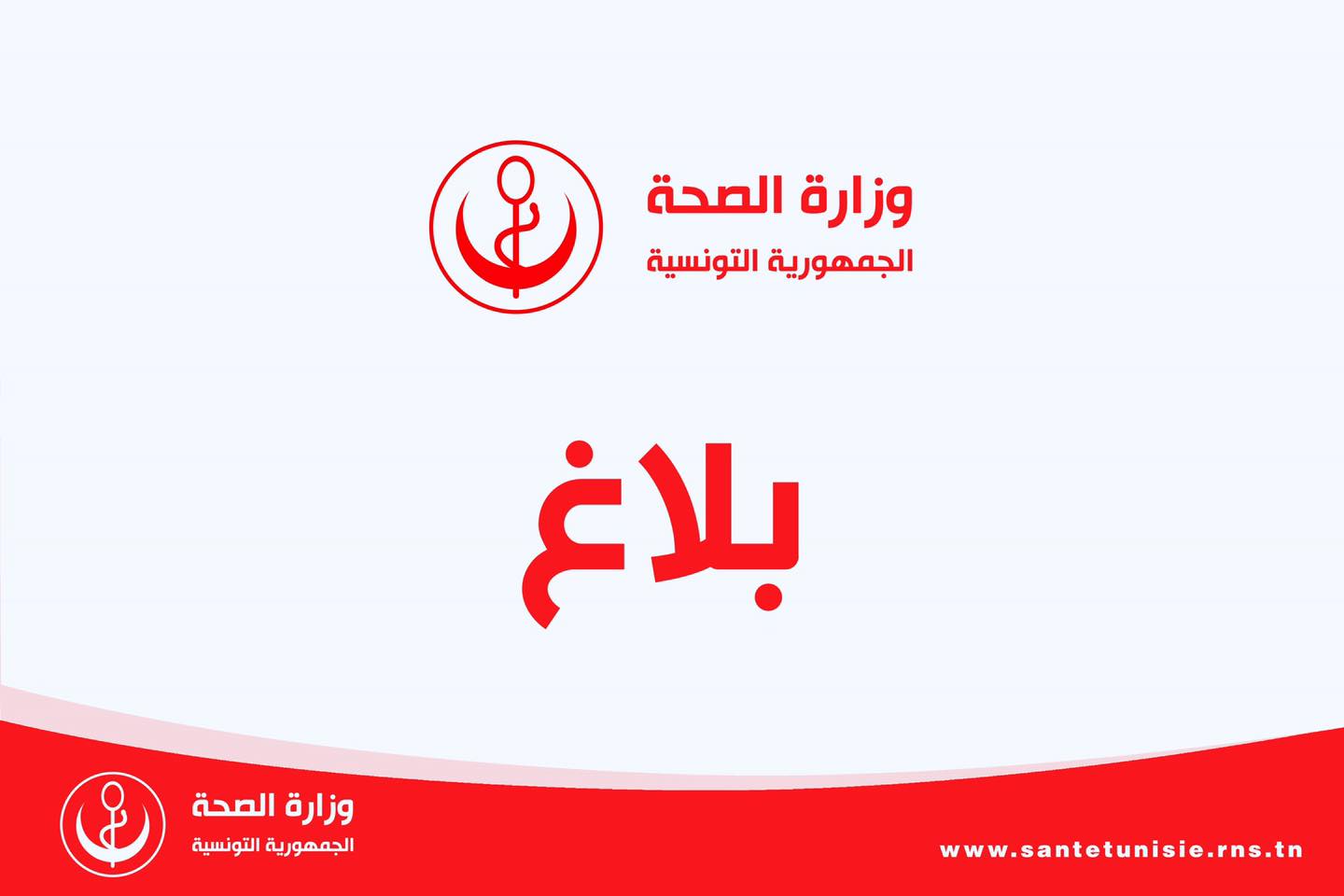 الصورة الرئيسية