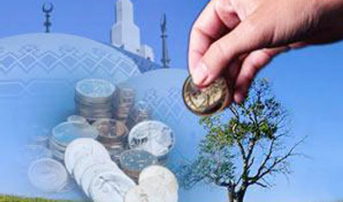 الصورة الرئيسية