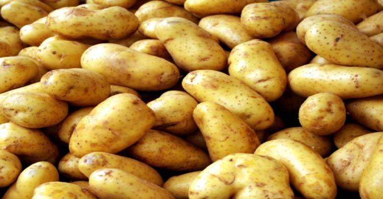 الصورة الرئيسية