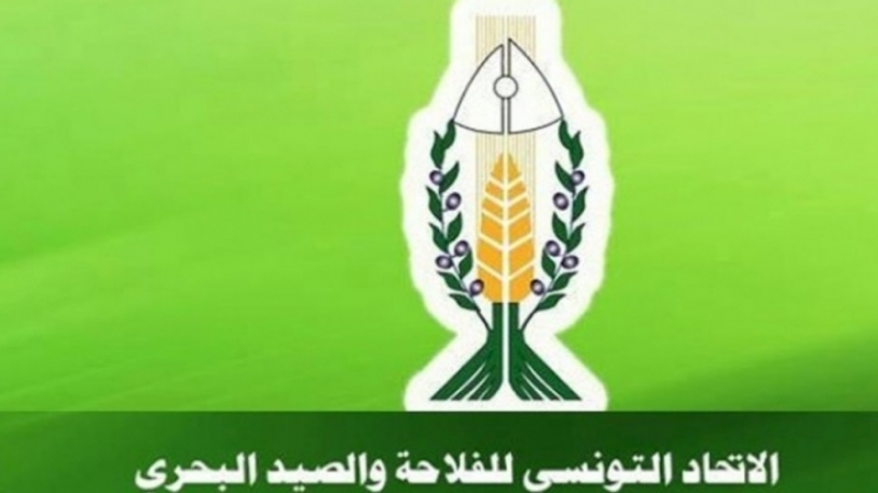 الصورة الرئيسية