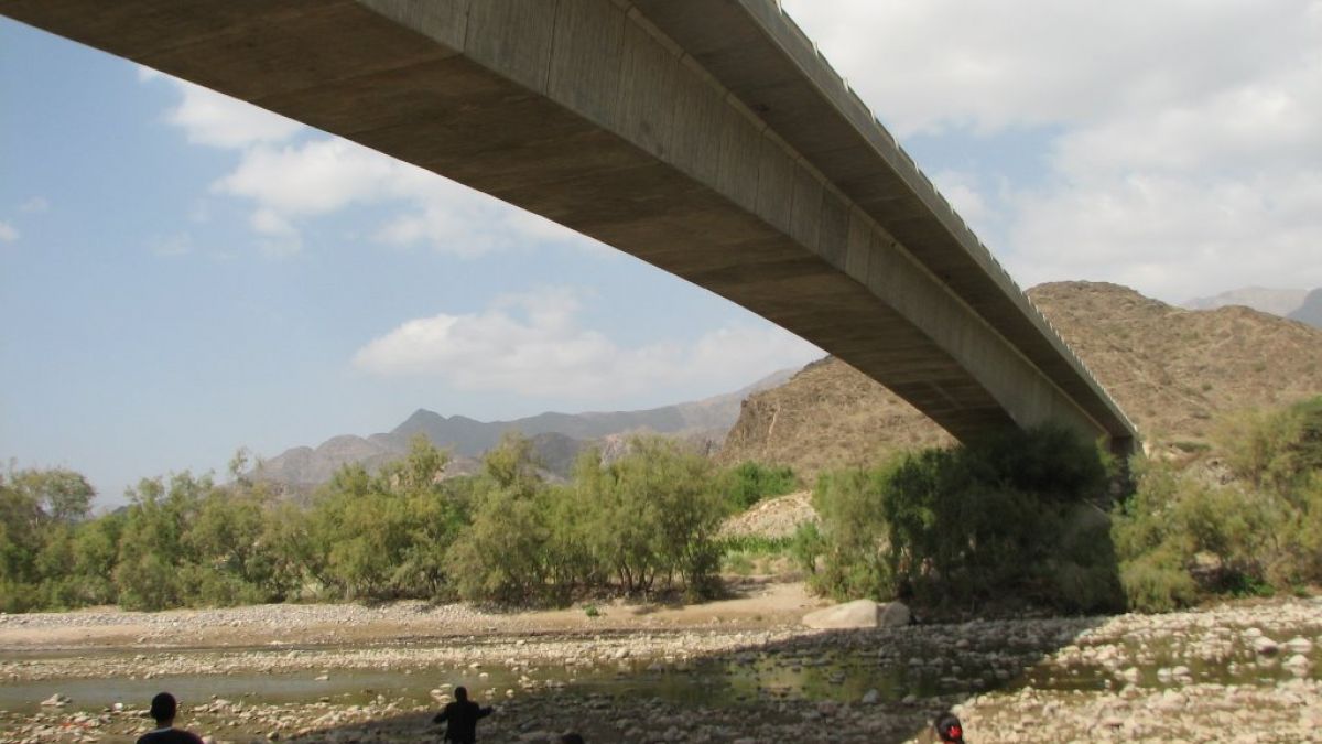 الصورة الرئيسية