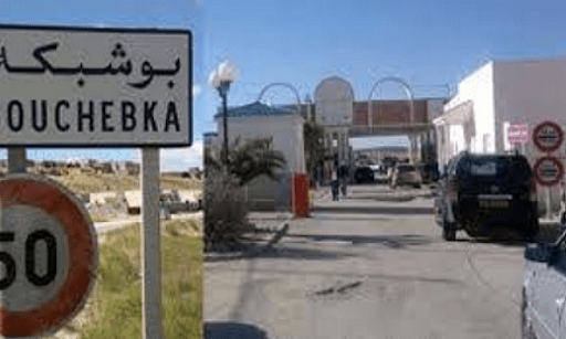 الصورة الرئيسية