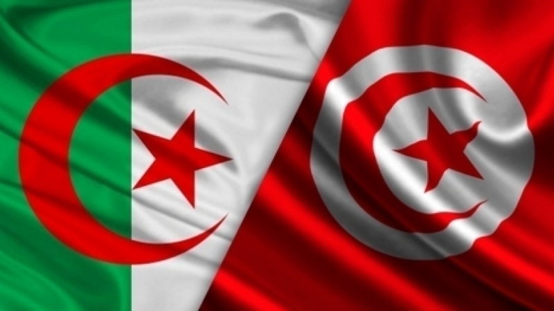 الصورة الرئيسية