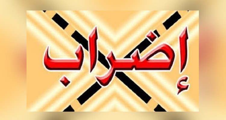 الصورة الرئيسية