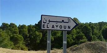 الصورة الرئيسية
