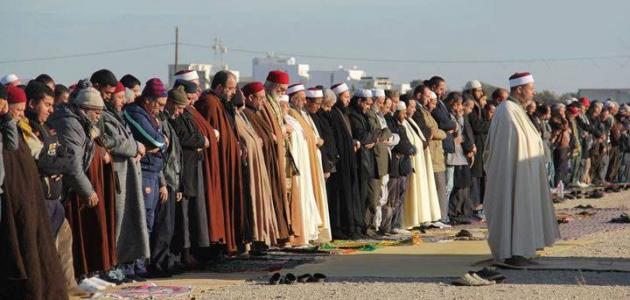 الصورة الرئيسية