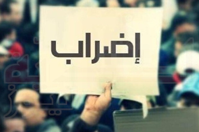 الصورة الرئيسية