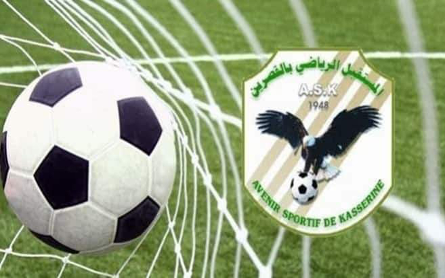 الصورة الرئيسية