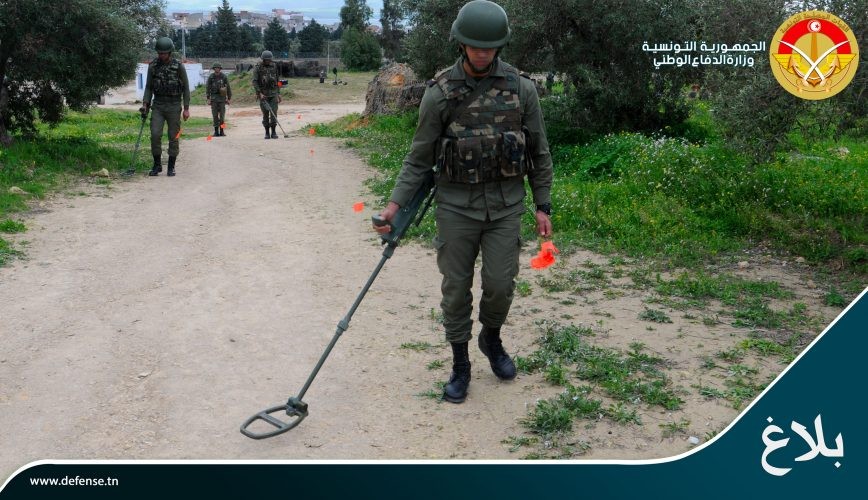 الصورة الرئيسية