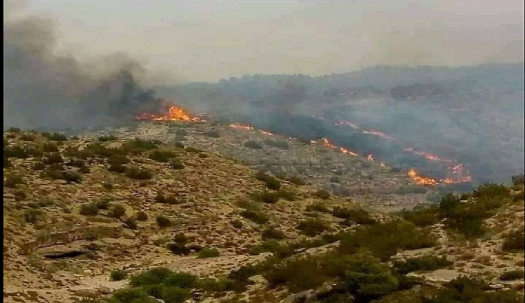 الصورة الرئيسية