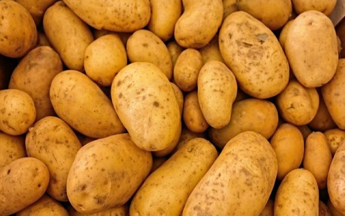 الصورة الرئيسية