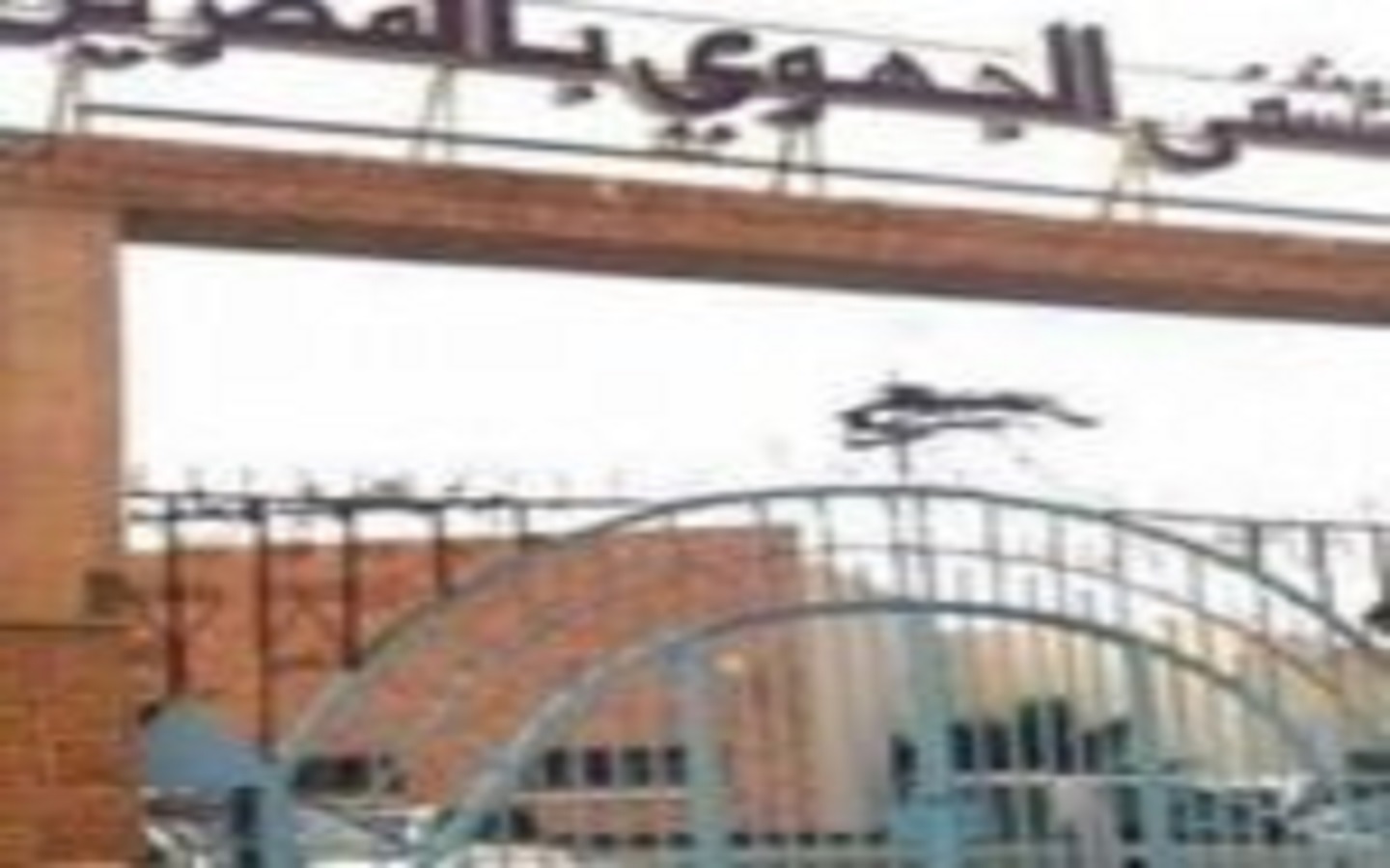 الصورة الرئيسية