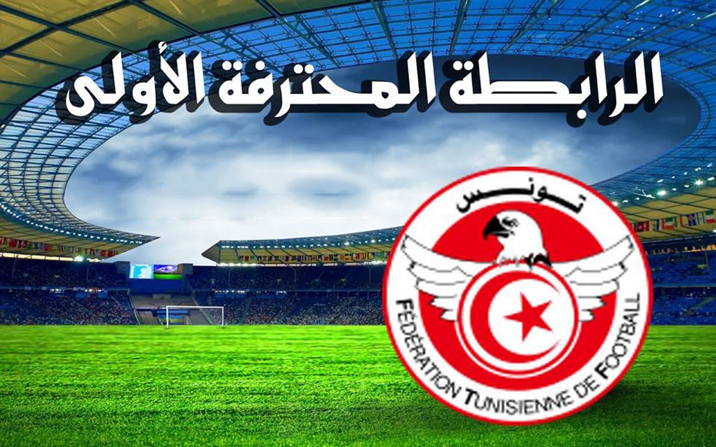الصورة الرئيسية