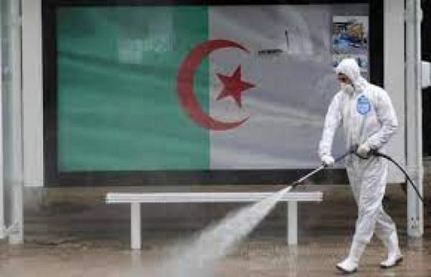 الصورة الرئيسية