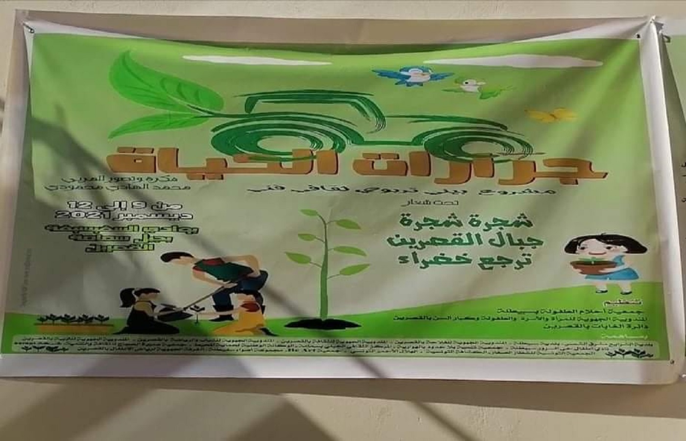 الصورة الرئيسية