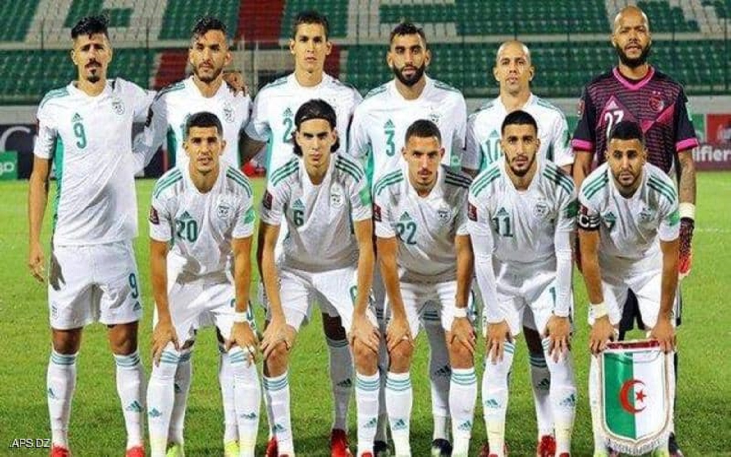 الصورة الرئيسية