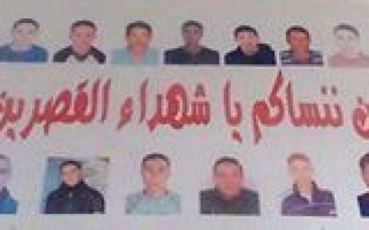 الصورة الرئيسية