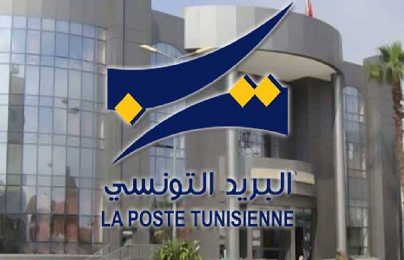 الصورة الرئيسية