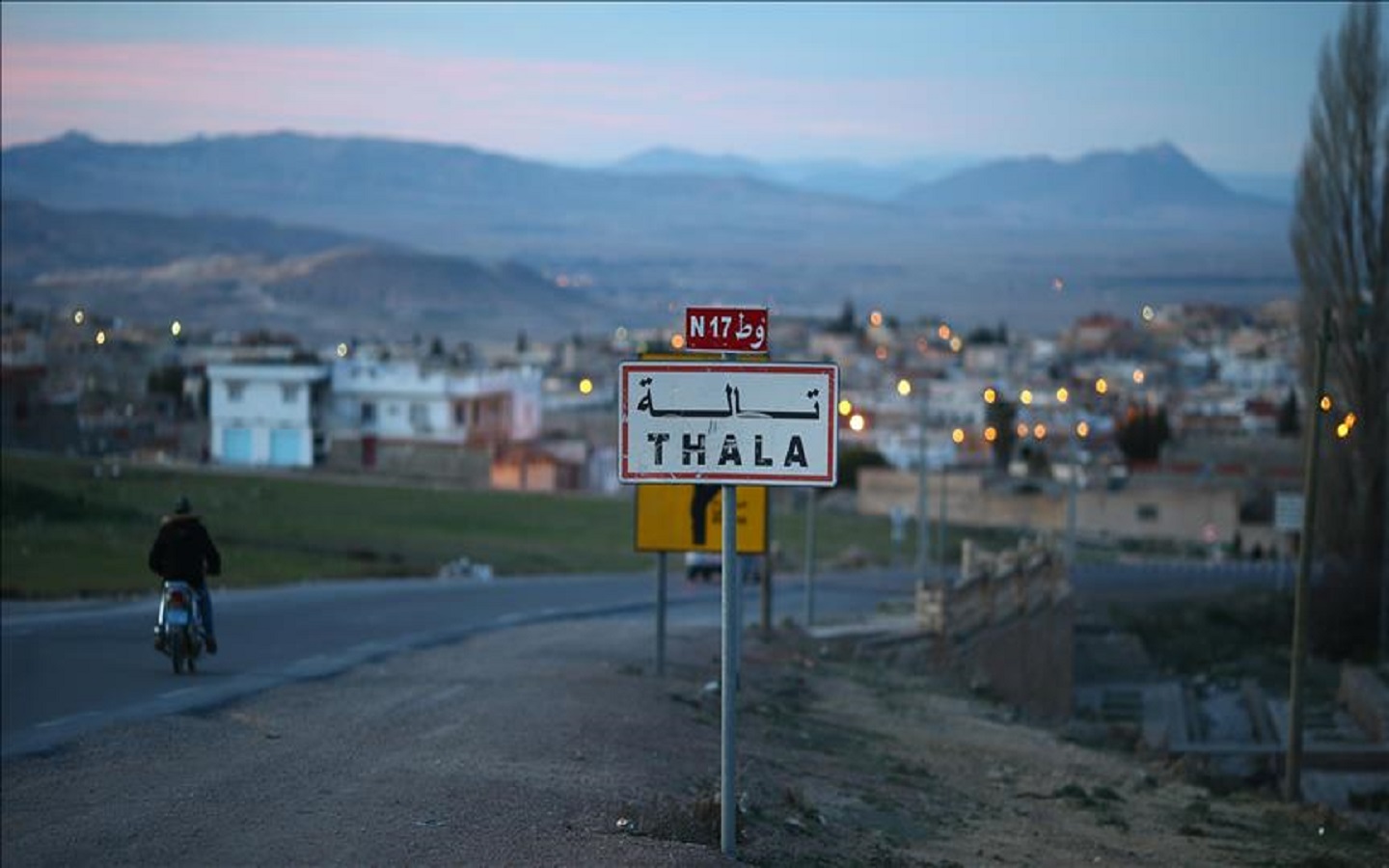 الصورة الرئيسية