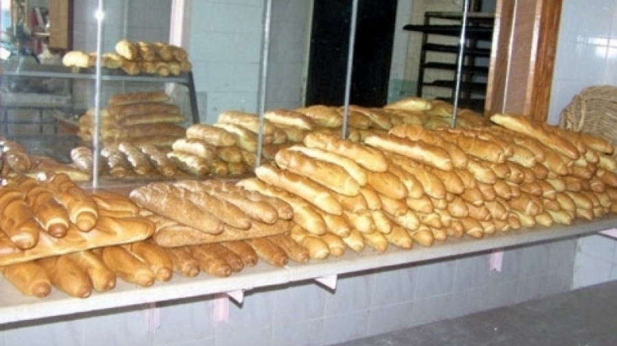 الصورة الرئيسية