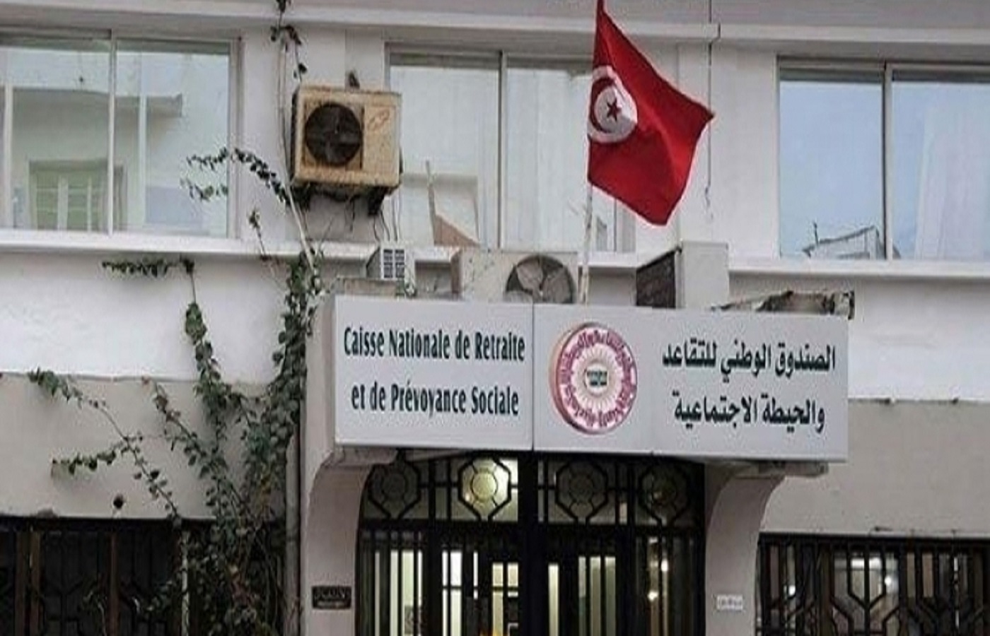 الصورة الرئيسية