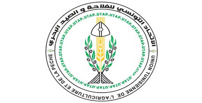 الصورة الرئيسية