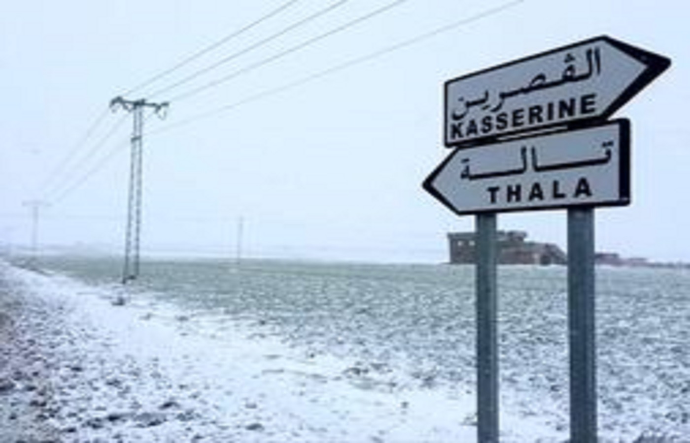 الصورة الرئيسية