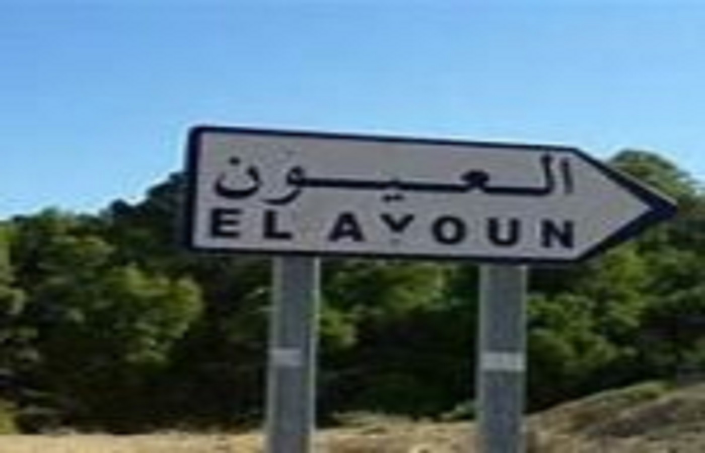 الصورة الرئيسية