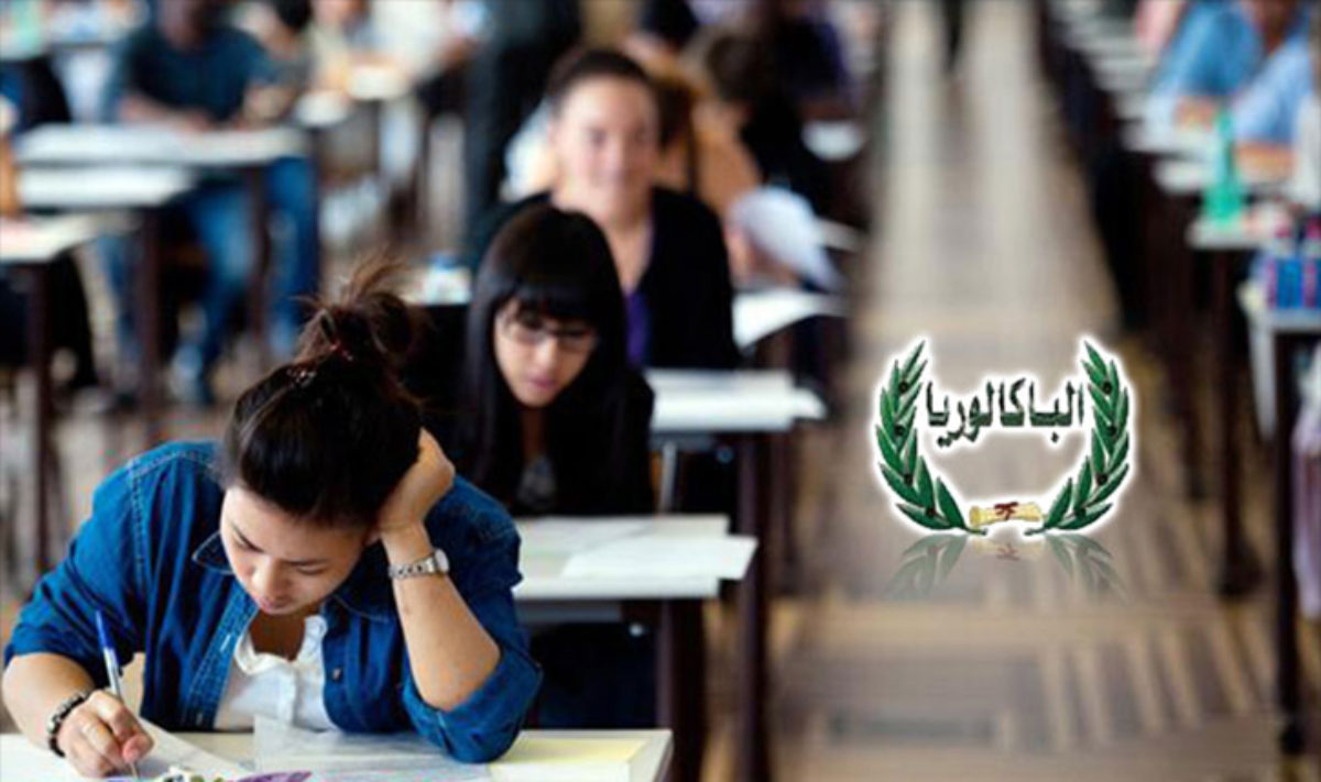 الصورة الرئيسية