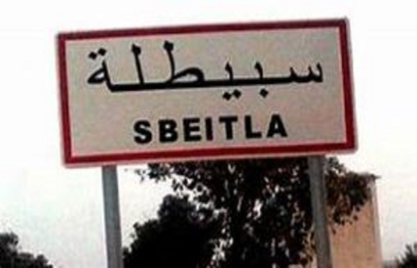 الصورة الرئيسية