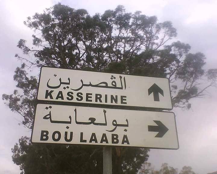 الصورة الرئيسية