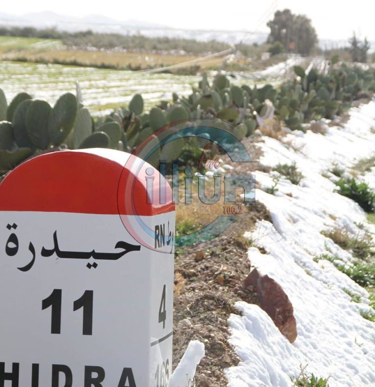 الصورة الرئيسية
