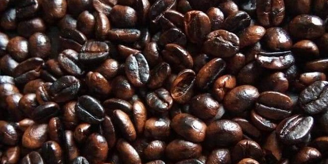 الصورة الرئيسية