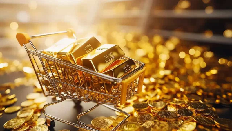 الصورة الرئيسية